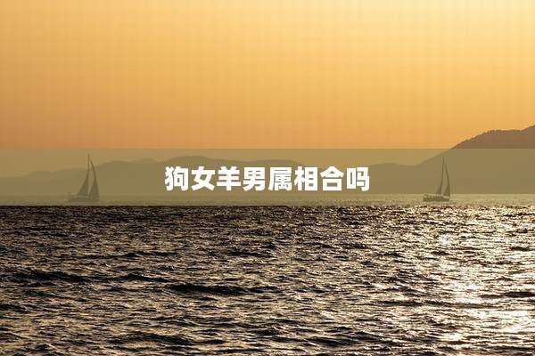 狗女羊男属相合吗