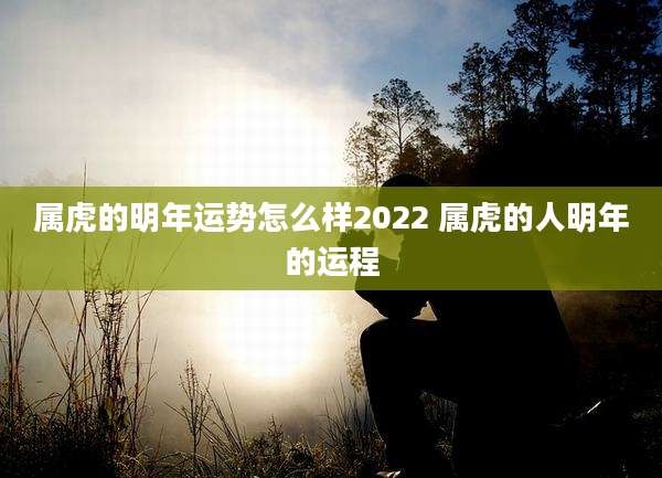 属虎的明年运势怎么样2022 属虎的人明年的运程