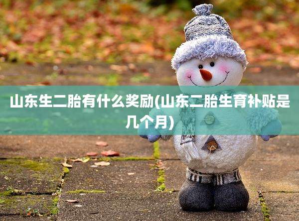 山东生二胎有什么奖励(山东二胎生育补贴是几个月)