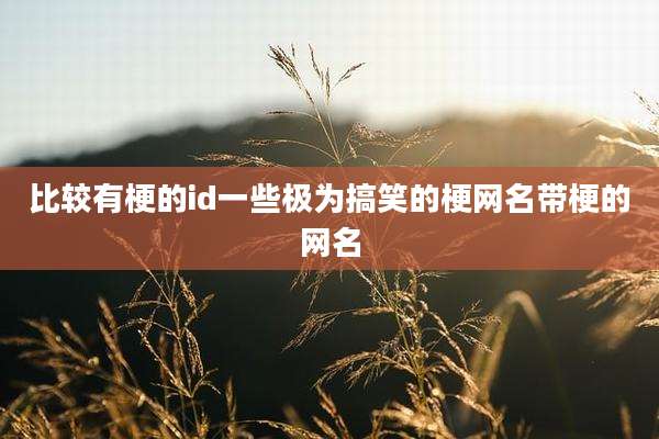 比较有梗的id一些极为搞笑的梗网名带梗的网名