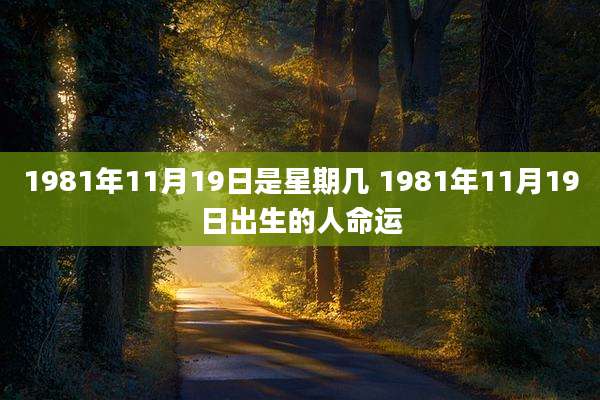 1981年11月19日是星期几 1981年11月19日出生的人命运