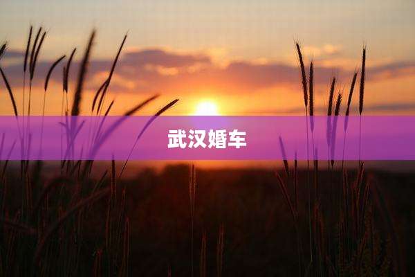 武汉婚车