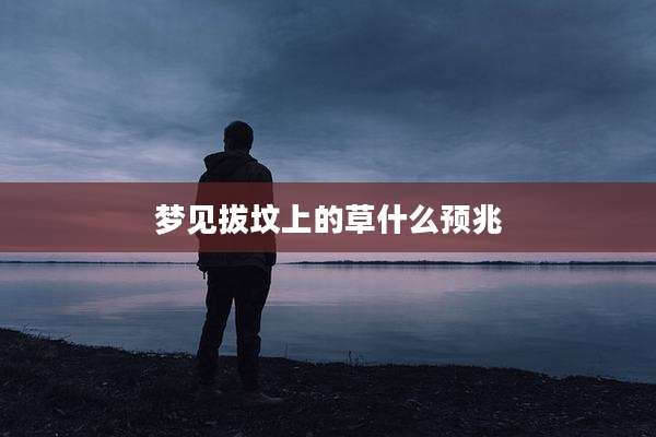 梦见拔坟上的草什么预兆