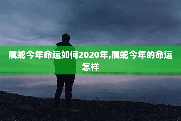属蛇今年命运如何2020年,属蛇今年的命运怎样