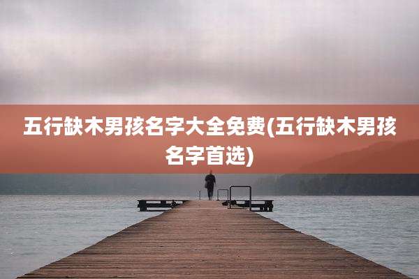 五行缺木男孩名字大全免费(五行缺木男孩名字首选)
