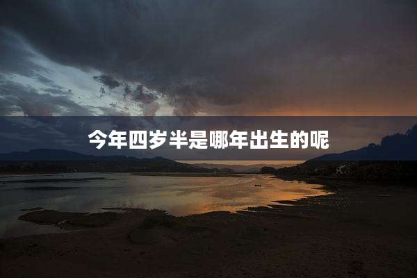 今年四岁半是哪年出生的呢