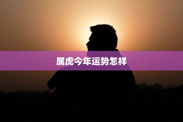 属虎今年运势怎样
