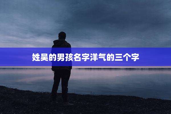 姓吴的男孩名字洋气的三个字