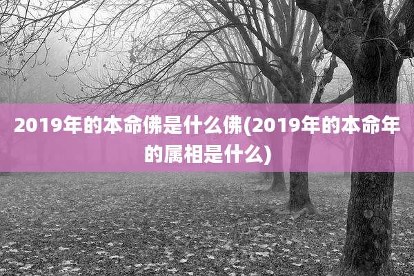 2019年的本命佛是什么佛(2019年的本命年的属相是什么)