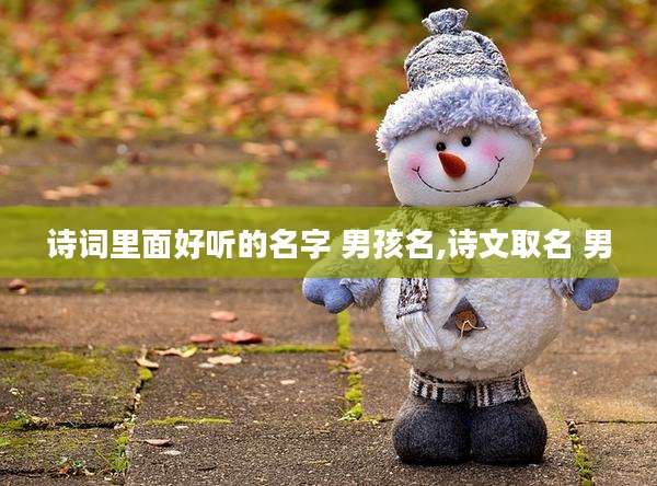 诗词里面好听的名字 男孩名,诗文取名 男