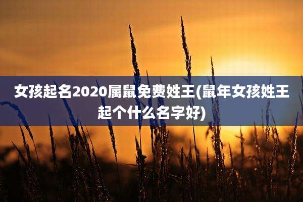 女孩起名2020属鼠免费姓王(鼠年女孩姓王起个什么名字好)