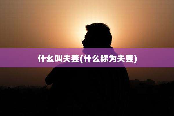 什幺叫夫妻(什么称为夫妻)