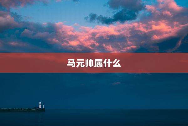 马元帅属什么