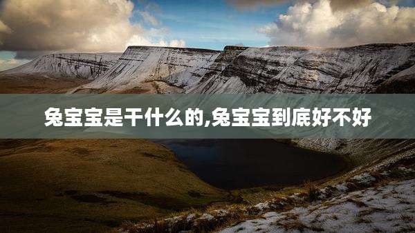 兔宝宝是干什么的,兔宝宝到底好不好