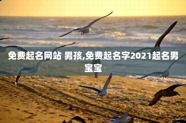 免费起名网站 男孩,免费起名字2021起名男宝宝