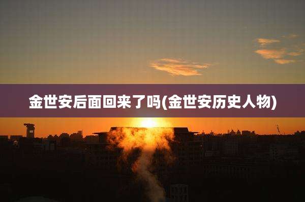 金世安后面回来了吗(金世安历史人物)