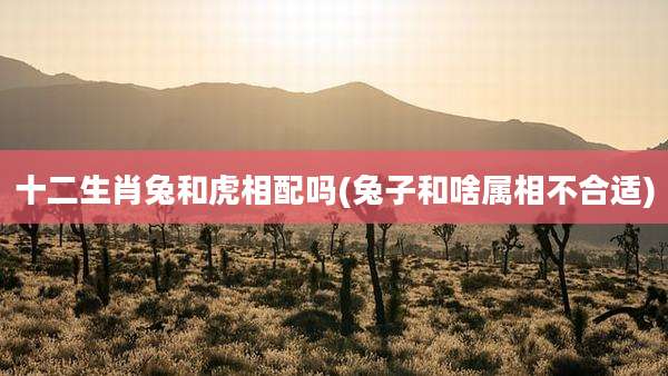 十二生肖兔和虎相配吗(兔子和啥属相不合适)
