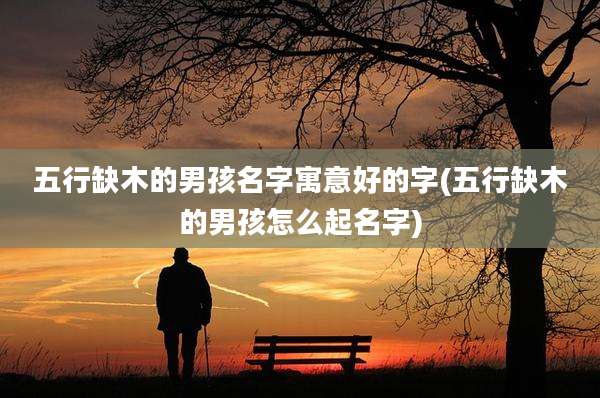 五行缺木的男孩名字寓意好的字(五行缺木的男孩怎么起名字)