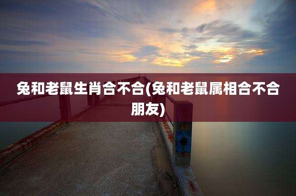 兔和老鼠生肖合不合(兔和老鼠属相合不合朋友)