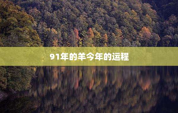 91年的羊今年的运程