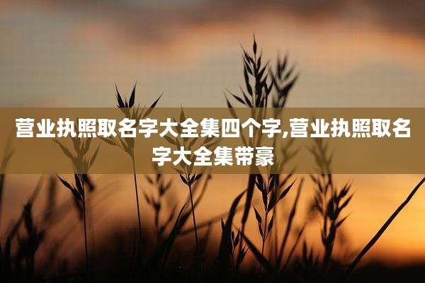 营业执照取名字大全集四个字,营业执照取名字大全集带豪