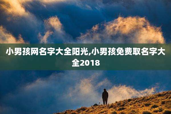 小男孩网名字大全阳光,小男孩免费取名字大全2018