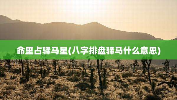 命里占驿马星(八字排盘驿马什么意思)