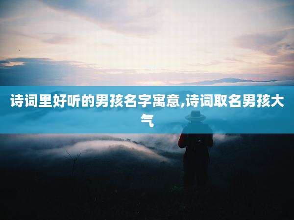 诗词里好听的男孩名字寓意,诗词取名男孩大气