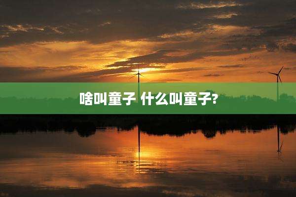 啥叫童子 什么叫童子?