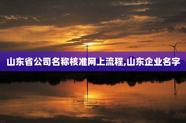 山东省公司名称核准网上流程,山东企业名字