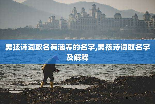 男孩诗词取名有涵养的名字,男孩诗词取名字及解释