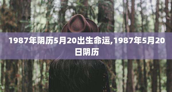1987年阴历5月20出生命运,1987年5月20日阴历