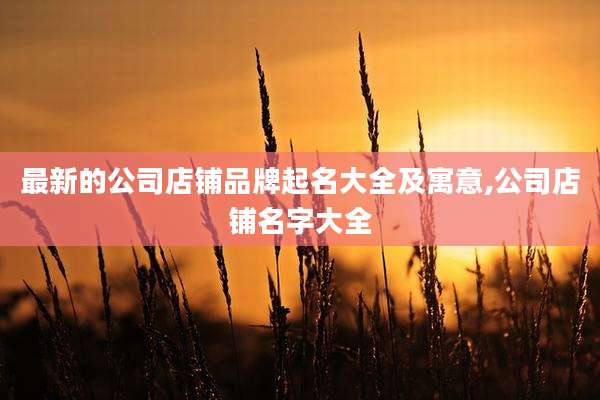 最新的公司店铺品牌起名大全及寓意,公司店铺名字大全