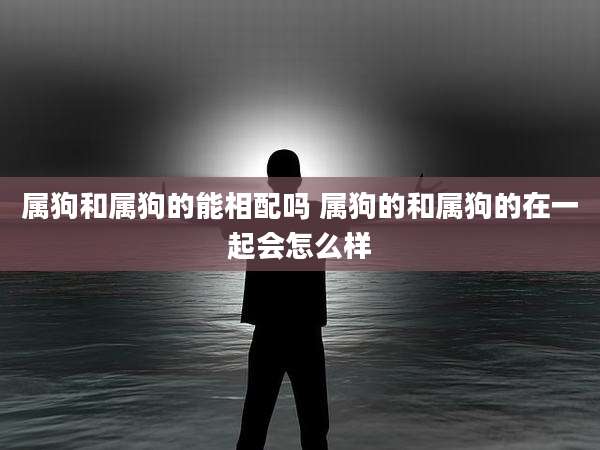 属狗和属狗的能相配吗 属狗的和属狗的在一起会怎么样