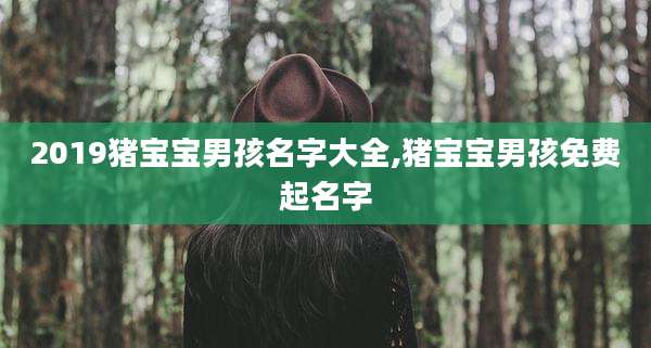 2019猪宝宝男孩名字大全,猪宝宝男孩免费起名字