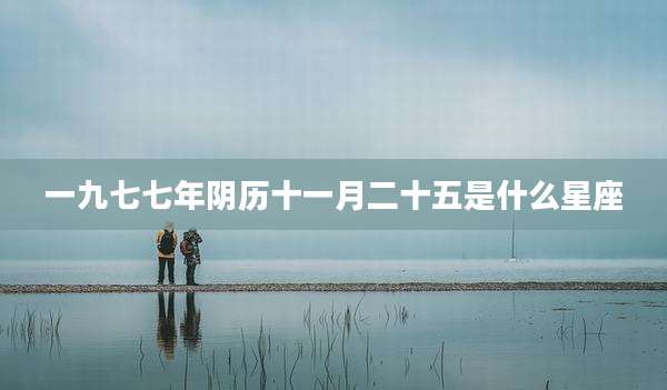 一九七七年阴历十一月二十五是什么星座