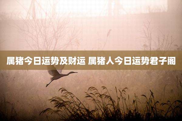 属猪今日运势及财运 属猪人今日运势君子阁