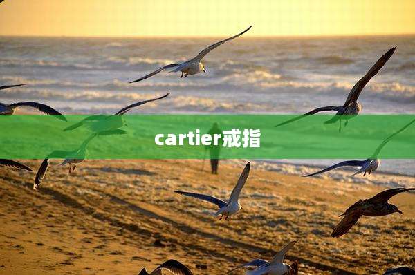 cartier戒指