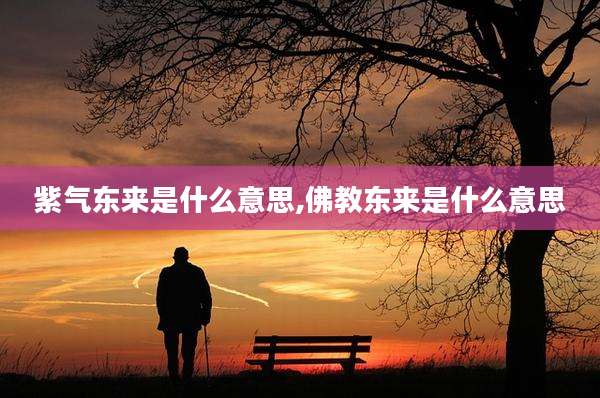 紫气东来是什么意思,佛教东来是什么意思