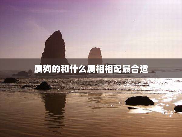 属狗的和什么属相相配最合适
