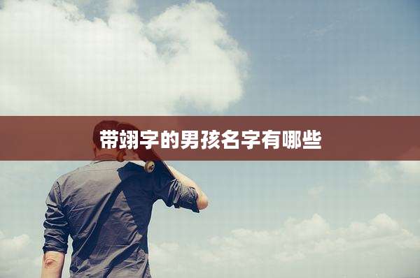 带翊字的男孩名字有哪些
