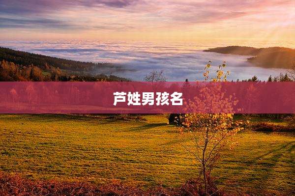 芦姓男孩名