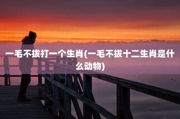 一毛不拔打一个生肖(一毛不拔十二生肖是什么动物)