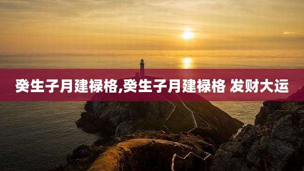 癸生子月建禄格,癸生子月建禄格 发财大运