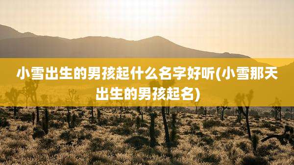 小雪出生的男孩起什么名字好听(小雪那天出生的男孩起名)