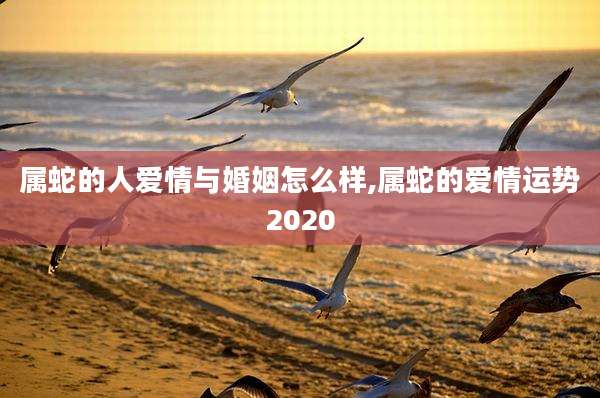 属蛇的人爱情与婚姻怎么样,属蛇的爱情运势2020