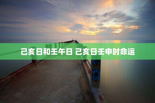 己亥日和壬午日 己亥日壬申时命运