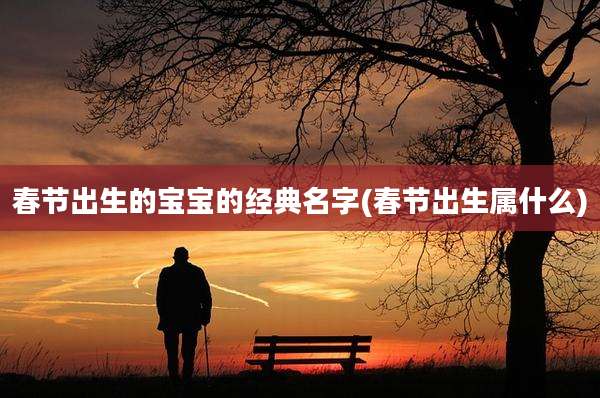 春节出生的宝宝的经典名字(春节出生属什么)