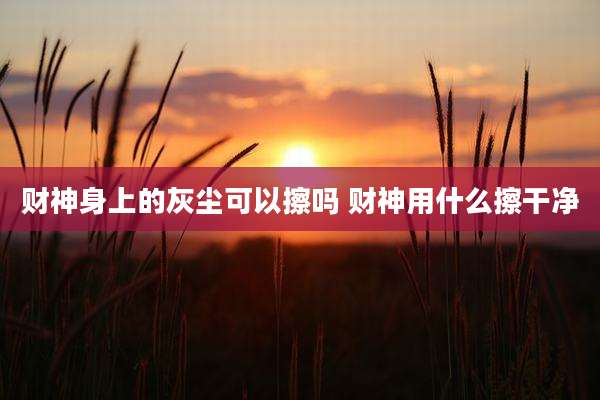 财神身上的灰尘可以擦吗 财神用什么擦干净