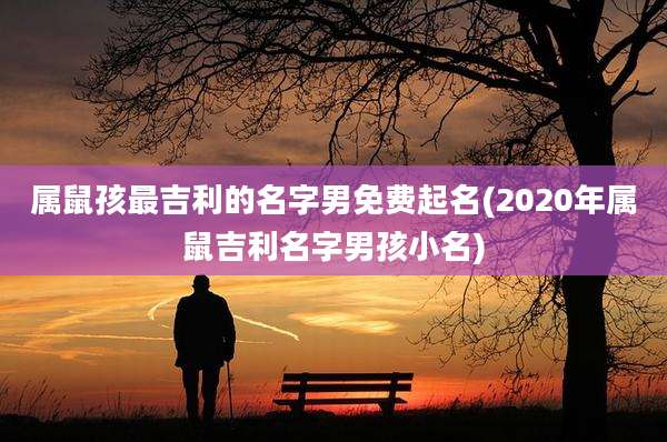 属鼠孩最吉利的名字男免费起名(2020年属鼠吉利名字男孩小名)
